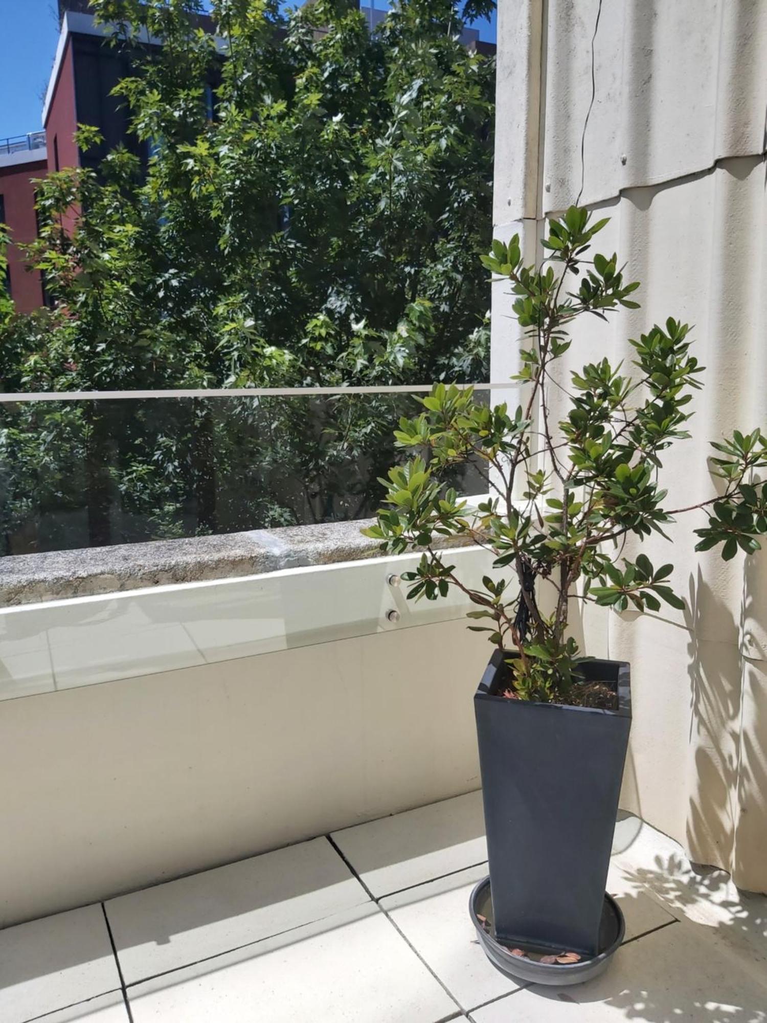 Porto Terrace Apartment Екстер'єр фото